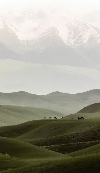 Horses on Rolling Hills Aesthetic Landscape Home Art Wall Poster