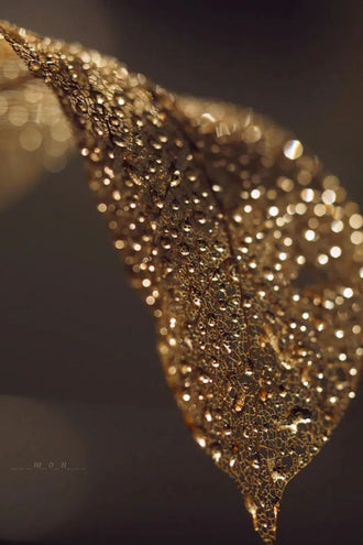 ___m_o_n___ Golden Leaf Aesthetic Home Art Décor Poster Print