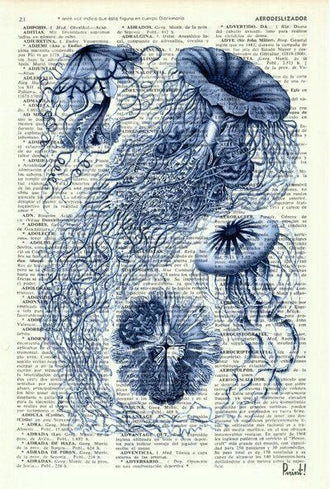 AERODESLIZADOR Nostalgic Jellyfish Dictionary Artwork – Coastal Wall Decor Wall Poster