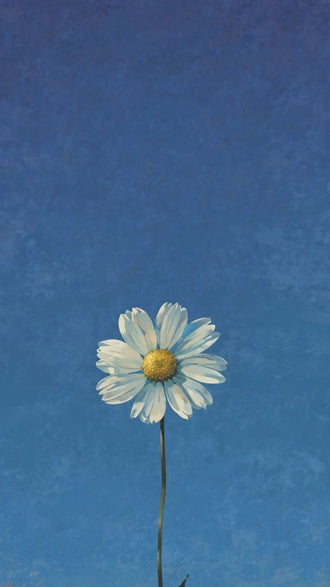 Minimal Daisy Flower Wall Décor, Minimal Botanical Wall Poster for Home Decor
