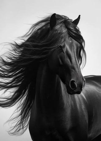 Black Horse Photography Modern Wall Art – Flowing Mane Portrait