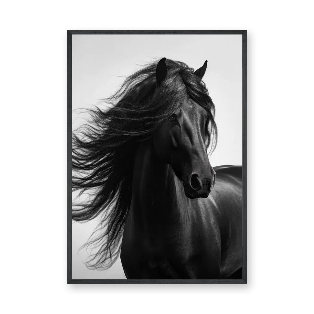Black Horse Photography Modern Wall Art – Flowing Mane Portrait
