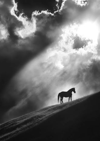 Lone Horse Silhouette Modern Wall Art – Dramatic Black-and-White Photo