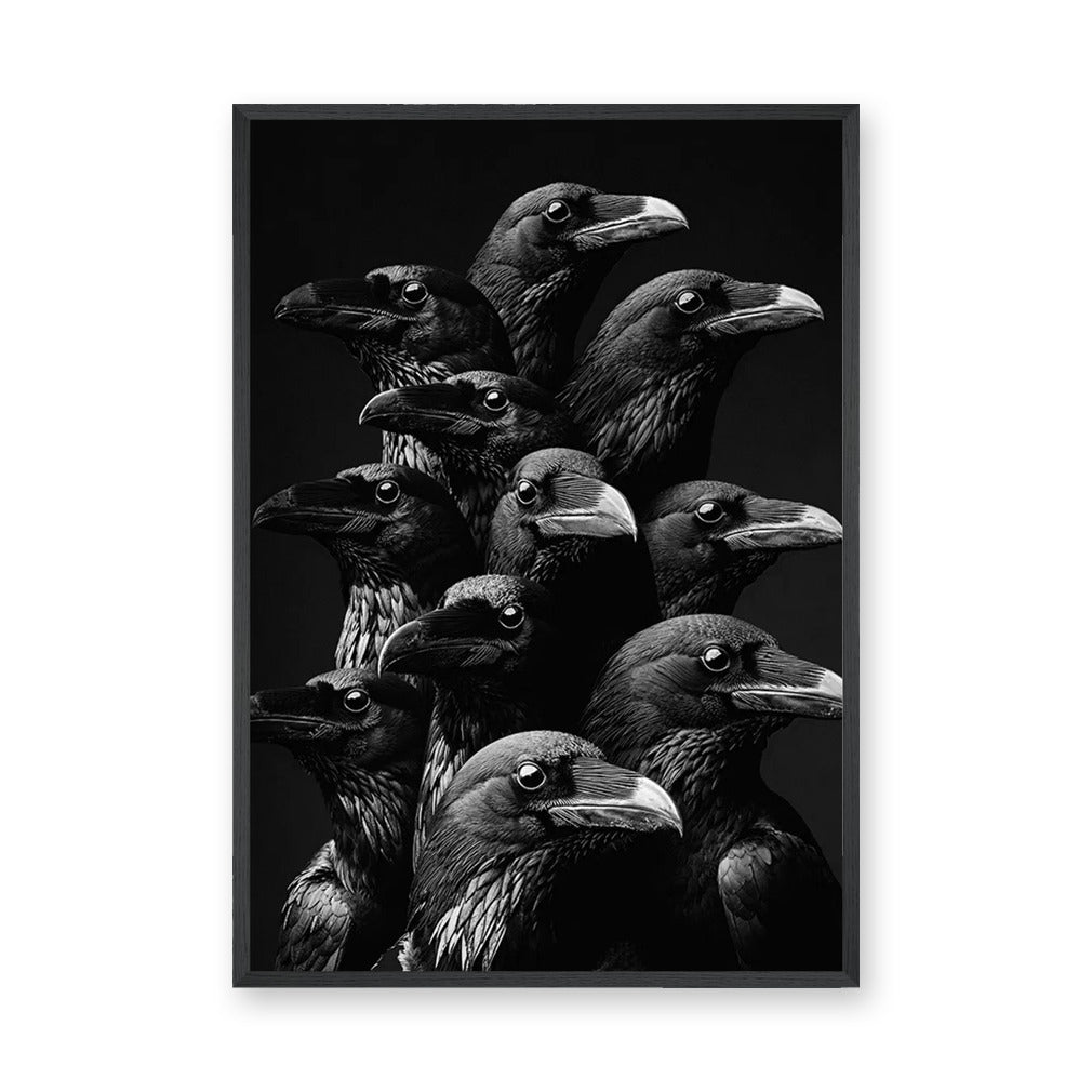 Raven Photography Modern Wall Art – Dramatic Black and White Bird Print