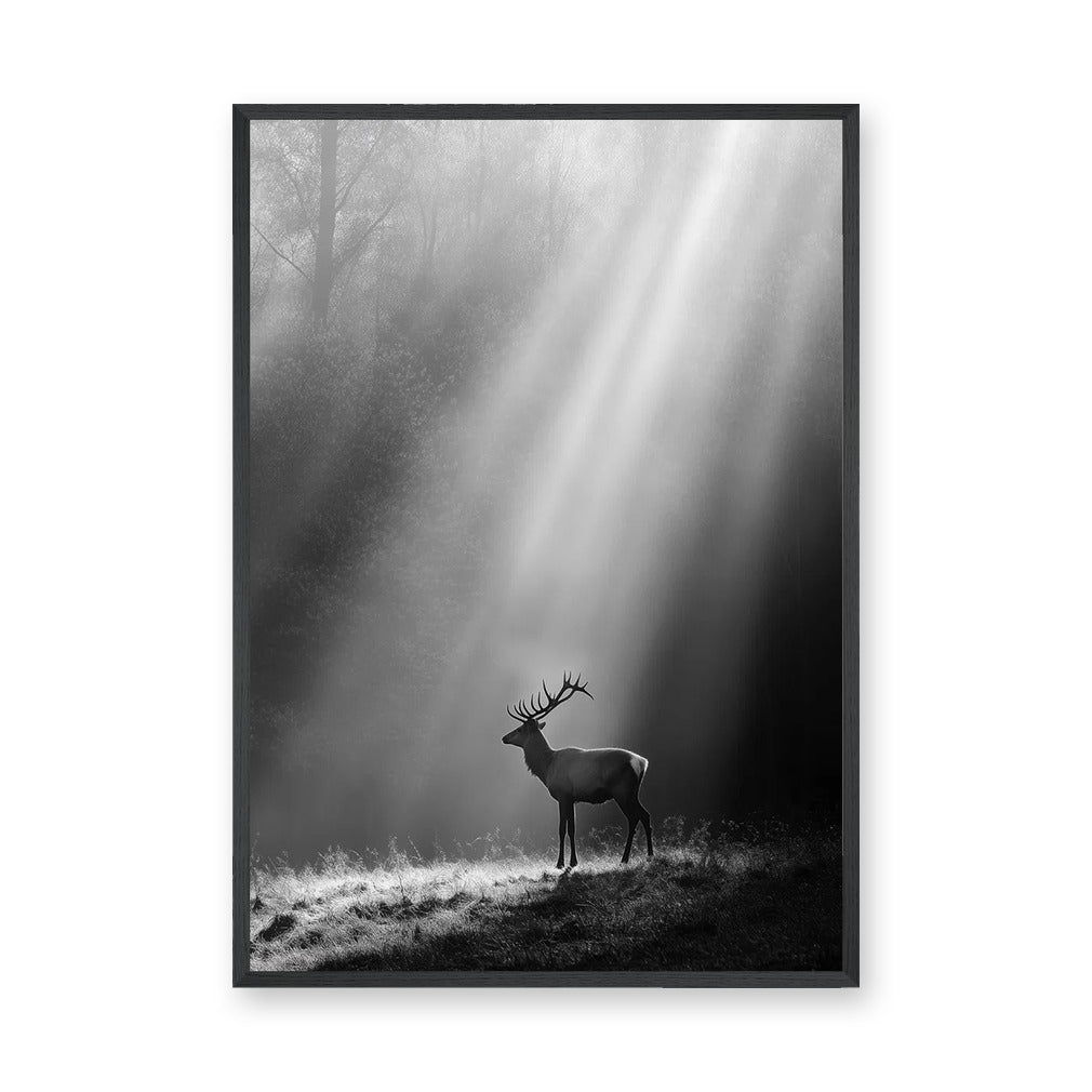 Stag Forest Modern Photography Wall Art – Misty Black and White Nature Print