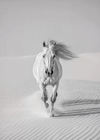 White Horse Desert Photography Modern Wall Art – Black and White Dunes