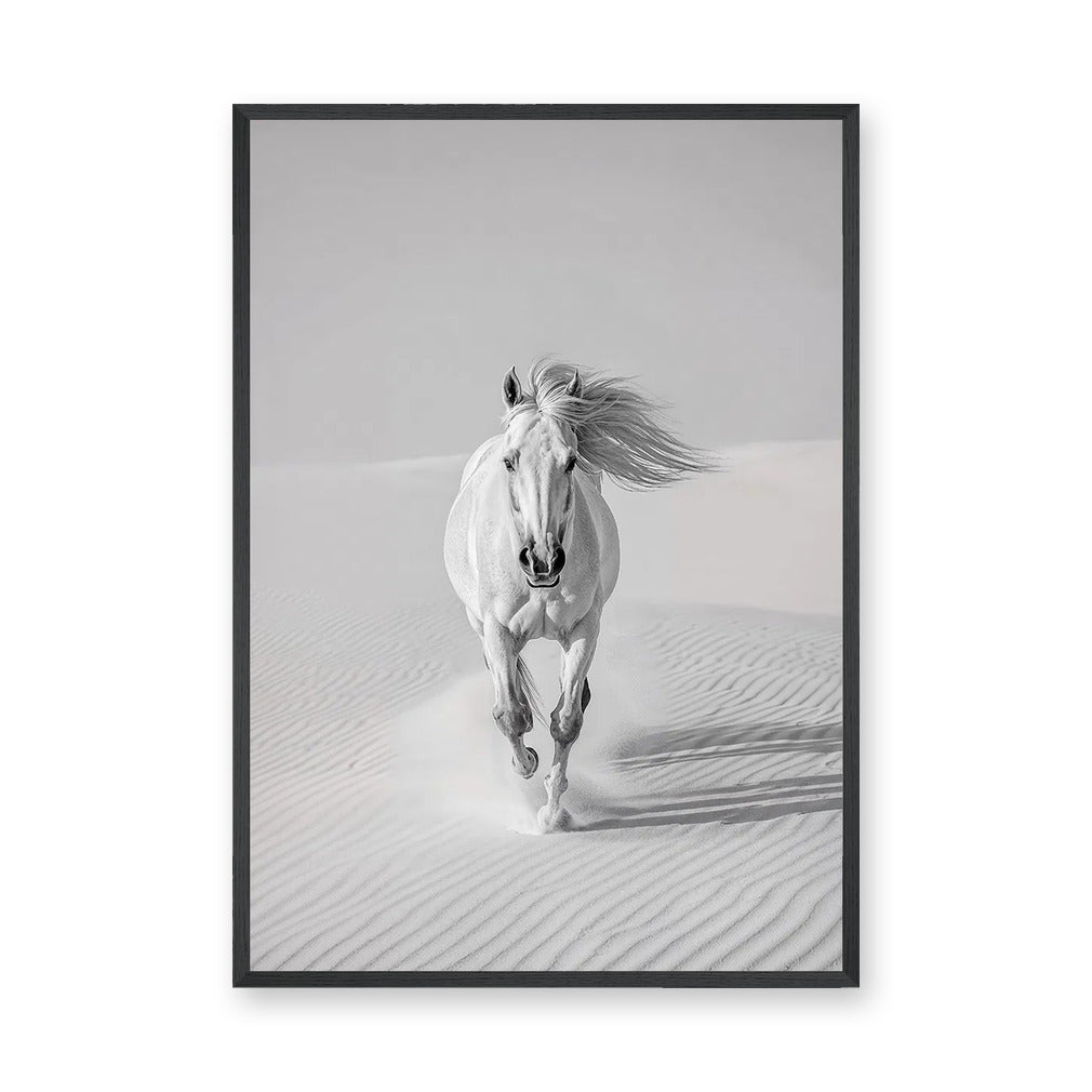 White Horse Desert Photography Modern Wall Art – Black and White Dunes