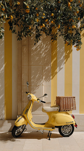 Yellow Scooter Retro Wall Art – Citrus Branches by Striped Wall