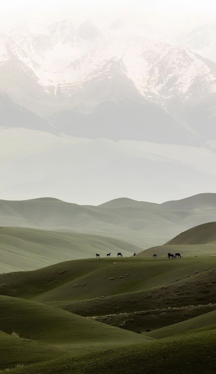 Horses on Rolling Hills Aesthetic Landscape Home Art Wall Poster