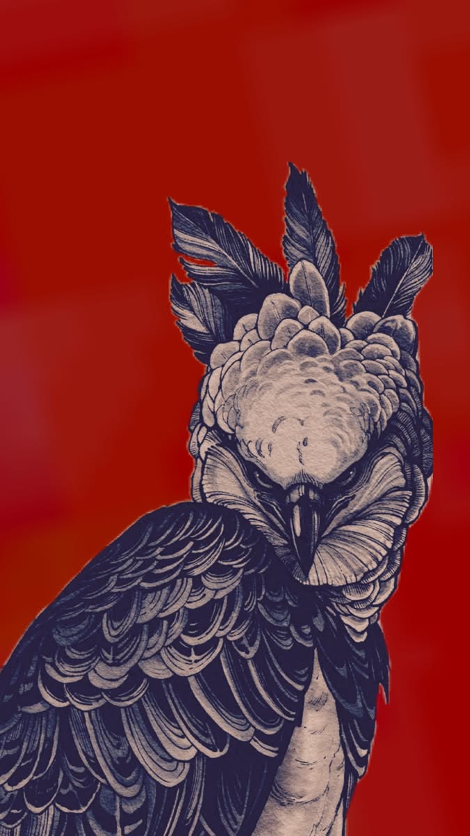 Illustrated Bird Aesthetic Wall Décor Poster Print