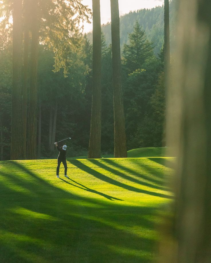 Golfer in Forest Aesthetic Wall Print Décor Poster Print