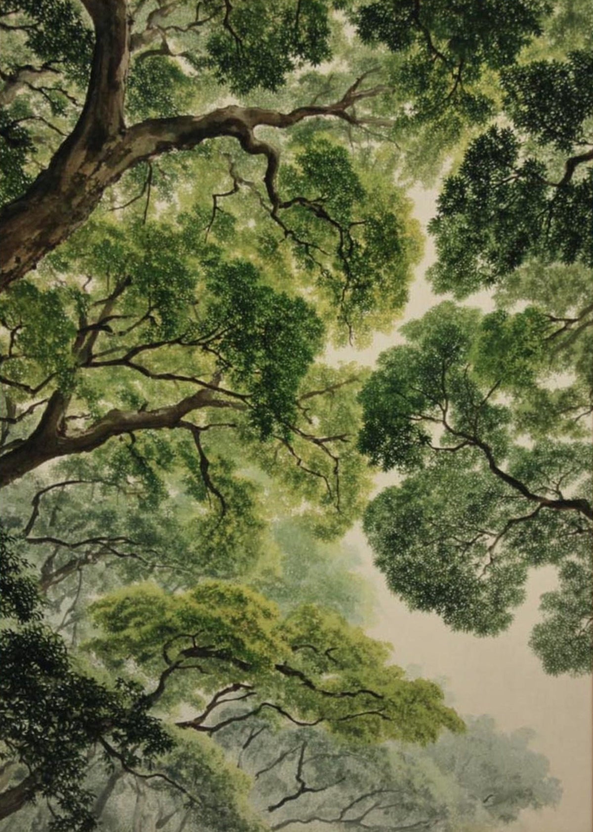 Retro Woodland Nature Illustration | Green Forest Canopy Wall Décor Poster | Tree Ceiling Botanical Décor Print