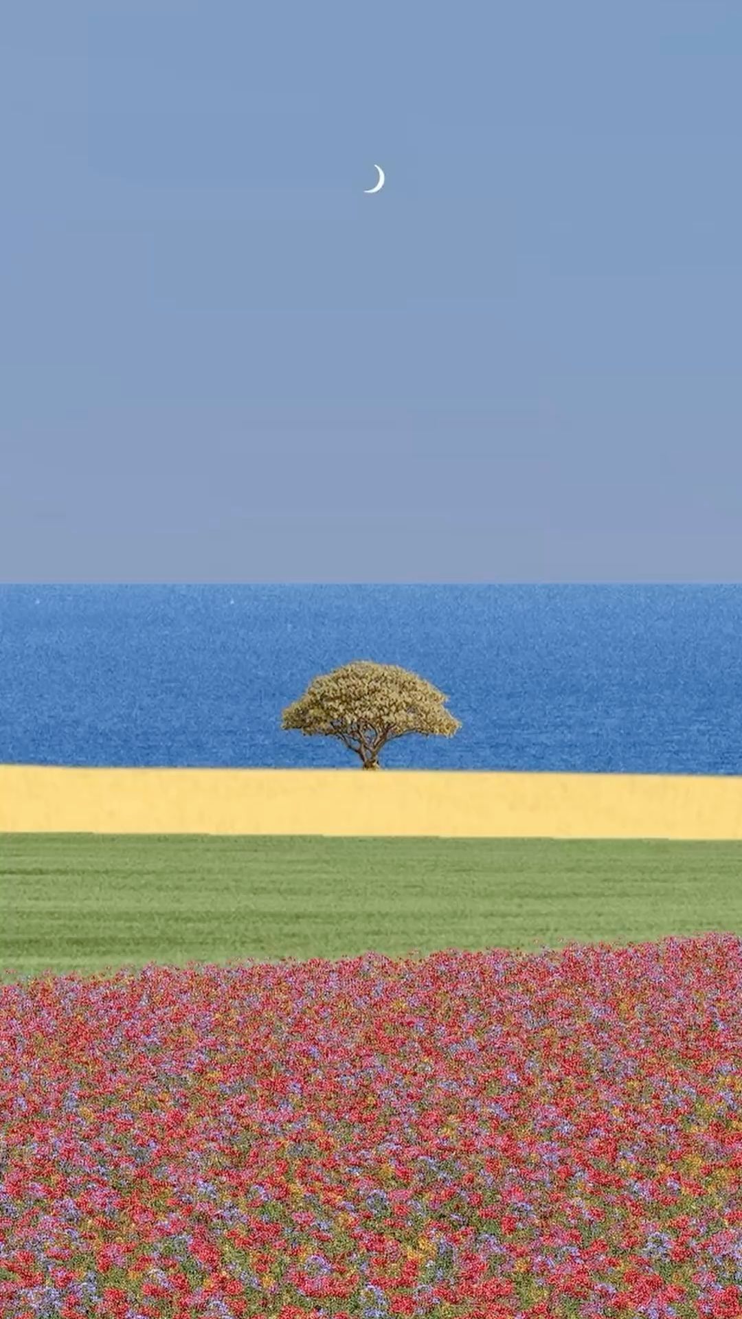Lone Tree by the Sea Minimal Wall Print Décor Poster Print