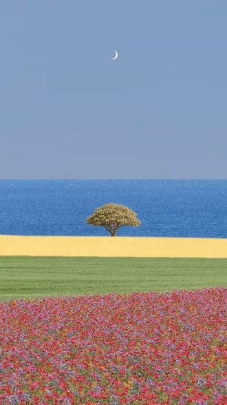 Lone Tree by the Sea Minimal Wall Print Décor Poster Print