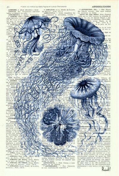 AERODESLIZADOR Nostalgic Jellyfish Dictionary Artwork – Coastal Wall Decor Wall Poster
