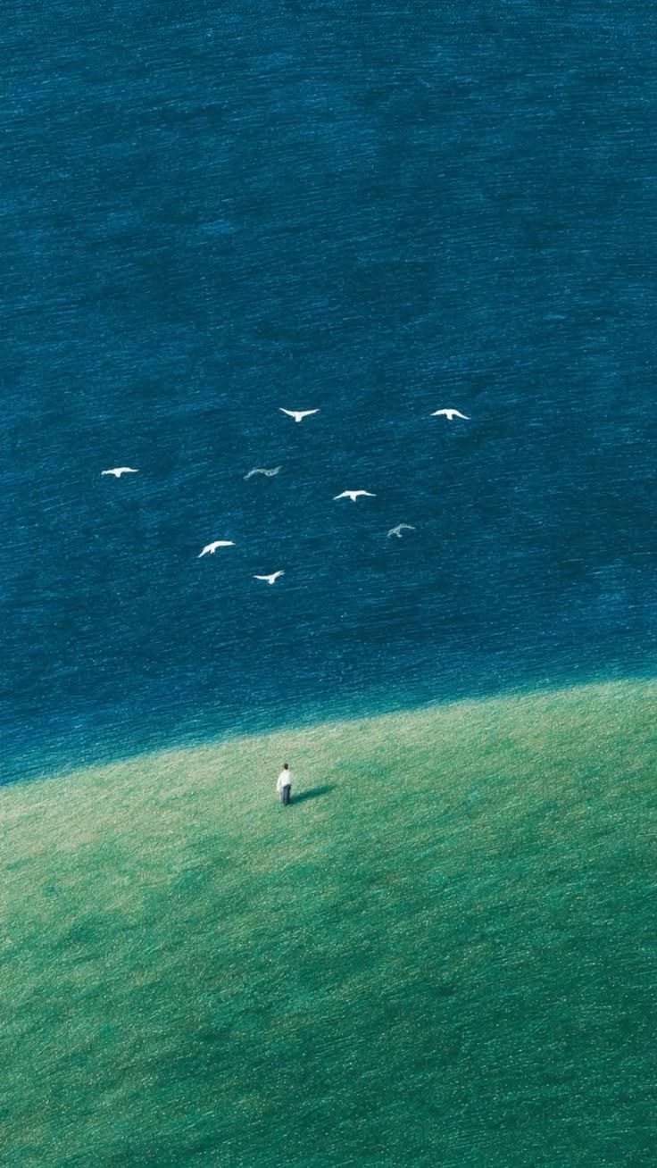 Person on Hill with Birds Aesthetic Landscape Wall Décor Poster