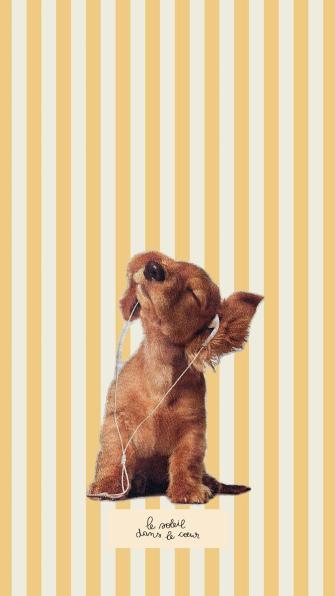 Le Soleil Dans Le Coeur Dog with Headphones Aesthetic Wall Print Wall Poster