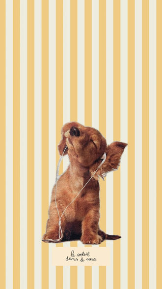 Le Soleil Dans Le Coeur Dog with Headphones Aesthetic Wall Print Wall Poster