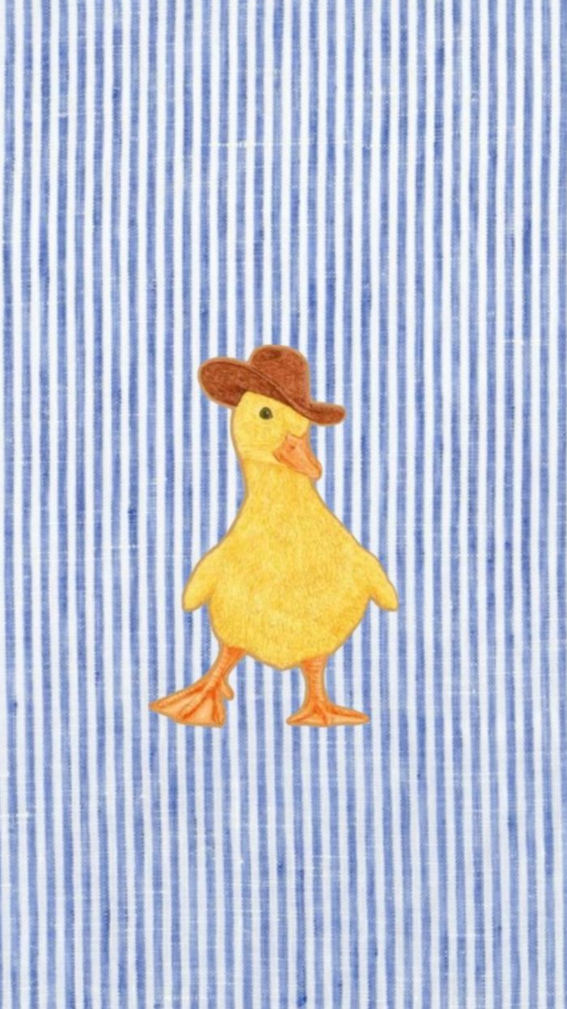 Funny Duck Cowboy Hat Wall Print – Quirky Farmhouse Duck Canvas Decor