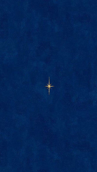 Gold Star Minimal Wall Décor Print