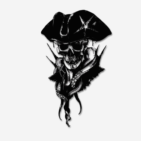 Skull Pirate Captain Gothic Metal Wall Art