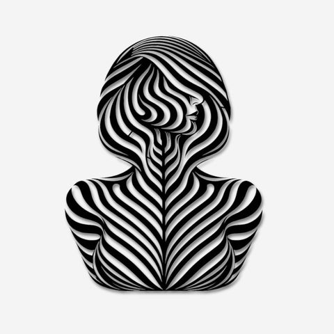Woman Body Illusion Metal Wall Art