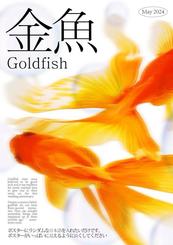 Be a Goldfish Quote Wall Print – Inspiring Kids Print, Optimistic Art Canvas Print