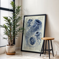 AERODESLIZADOR Nostalgic Jellyfish Dictionary Artwork – Coastal Wall Decor Wall Poster