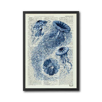 AERODESLIZADOR Nostalgic Jellyfish Dictionary Artwork – Coastal Wall Decor Wall Poster
