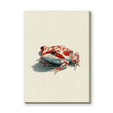 Animals Modern Minimalist Wall Art – Red Spotted Frog Illustration