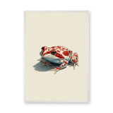 Animals Modern Minimalist Wall Art – Red Spotted Frog Illustration