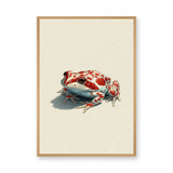 Animals Modern Minimalist Wall Art – Red Spotted Frog Illustration