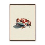 Animals Modern Minimalist Wall Art – Red Spotted Frog Illustration