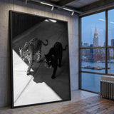 Big Cat Photography Modern Wall Art – Black and White Panther Jaguar Print