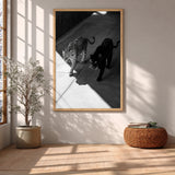 Big Cat Photography Modern Wall Art – Black and White Panther Jaguar Print