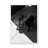 Big Cat Photography Modern Wall Art – Black and White Panther Jaguar Print