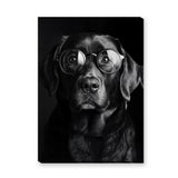 Black Dog Glasses Portrait Modern Wall Art – Eclectic Animal Photography
