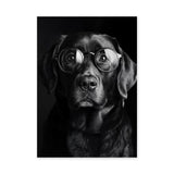 Black Dog Glasses Portrait Modern Wall Art – Eclectic Animal Photography