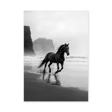 Black Horse Beach Photography Modern Wall Art – Misty Coastal Shoreline