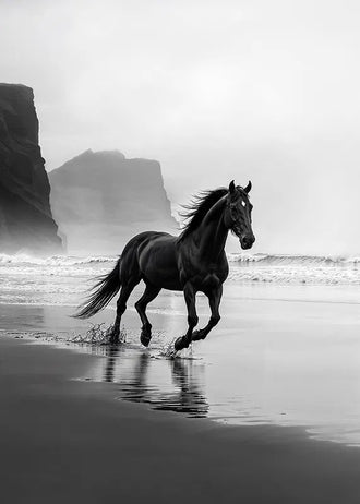 Black Horse Beach Photography Modern Wall Art – Misty Coastal Shoreline