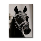 Black Horse Modern Photography Wall Art – Jeweled Silver Bridle