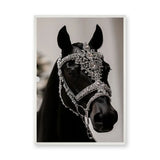 Black Horse Modern Photography Wall Art – Jeweled Silver Bridle