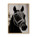 Black Horse Modern Photography Wall Art – Jeweled Silver Bridle