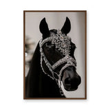 Black Horse Modern Photography Wall Art – Jeweled Silver Bridle