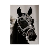 Black Horse Modern Photography Wall Art – Jeweled Silver Bridle