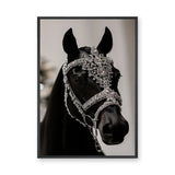 Black Horse Modern Photography Wall Art – Jeweled Silver Bridle