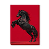 Black Horse Modern Wall Art – Rearing Horse on Bold Red Background