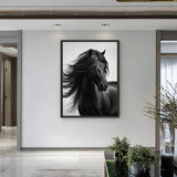 Black Horse Photography Modern Wall Art – Flowing Mane Portrait