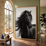 Black Horse Photography Modern Wall Art – Flowing Mane Portrait