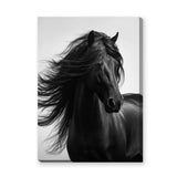 Black Horse Photography Modern Wall Art – Flowing Mane Portrait